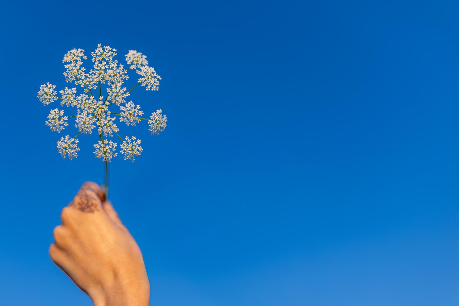 Viver no presente Viver no presente