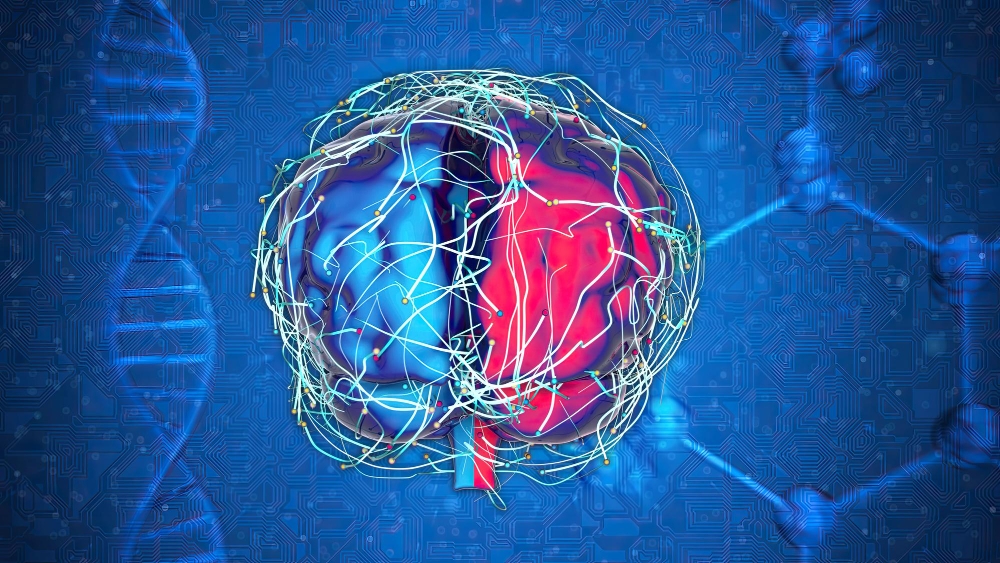 A Neuropsicologia no cotidiano A Neuropsicologia no cotidiano